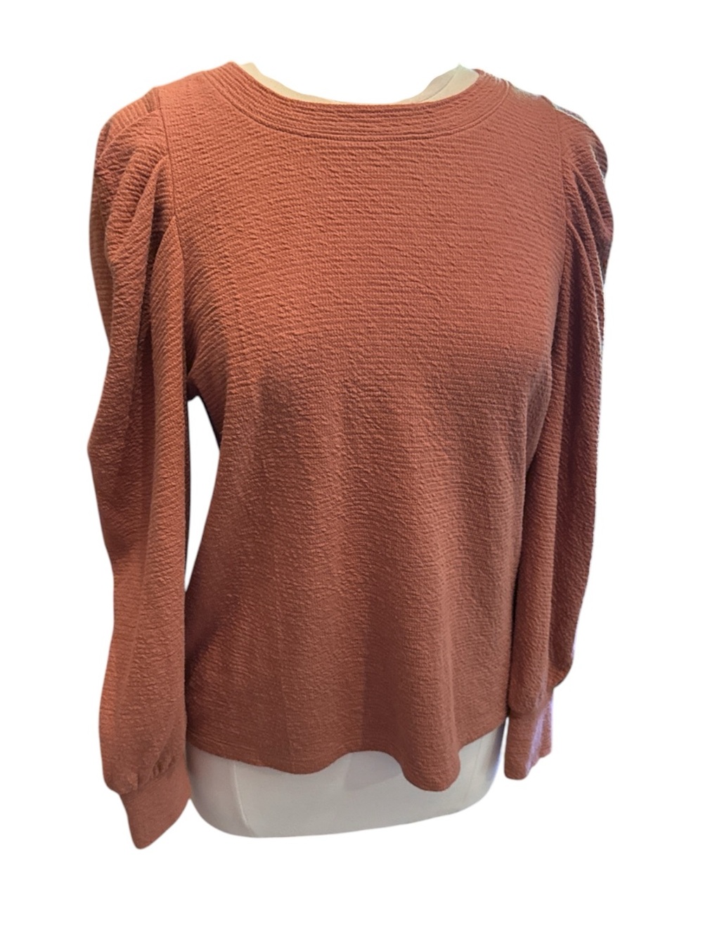 Madewell Pleated Statement-Sleeve Top in a textured rust/brown shade Size L